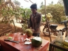 kampot-campagne-noix-coco-1
