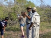 guepard Karongwe (7)