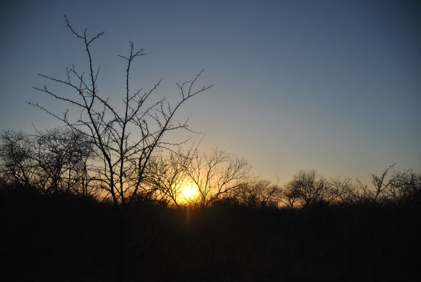 Karongwe coucher soleil bush