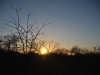 Karongwe coucher soleil bush