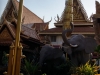 phnom penh palais royal elephant